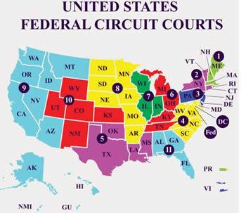 Circuit Courts vs. District Courts | Judiciary.org